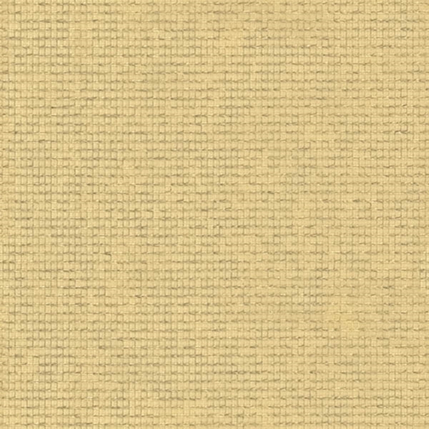 y[XzTOLI()/FUFUL(tt)/TKF11767